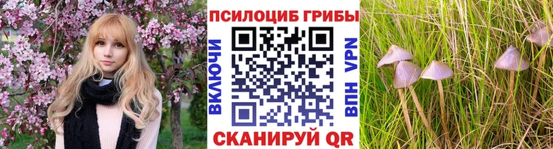 Галлюциногенные грибы Psilocybine cubensis  Славянск-на-Кубани 